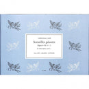 Sonatilles galantes Op. 6