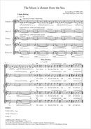 The Moon is distant from the Sea: <b>2025年11月発売予定</b>
