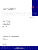 Im Fluge op. 230