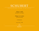 Allegro for Piano Four-hands in A minor op. post. 144 D 947 "Lebensstürme"
