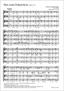 Herr, wenn Trübsal da ist, HoWV V.15 (C minor)