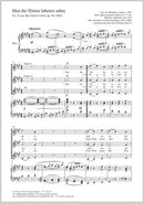 Den die Hirten lobeten sehre, op. 90, 24