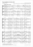 Was betrübst du Seele dich