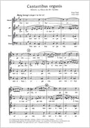 Cantantibus organis