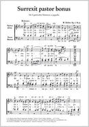 Surrexit pastor bonus