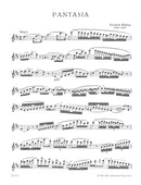 Fantasie for Flute solo D major