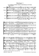 Am Donaustrome -Madrigal I nach einem mährischen Volkslied (deutsche Übertragung)-