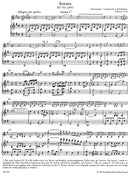 Sonaten für Klavier und Violine: Mannheim・Paris・Salzburg = マンハイム・パリ・ザルツブルクのソナタ集(ヴァイオリンとチェンバロ)