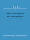 Motetten zweifelhafter Echtheit, BWV Anh. 159/160