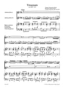 Trio Sonata for two alto recorders and continuo in B-flat major (originally in G major), after BWV 1039