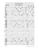 Concertino per Orchestra (1981)(ポケットスコア)