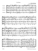 Violoncello x 4