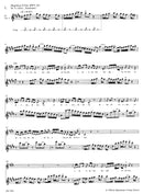 Flute Solos from Sacred and Secular Vocal Works: Selected movements from secular cantatas, from St John Passion, Magnificat in D major, Christmas Oratorio and Easter Oratorio