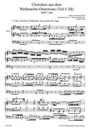 Choral settings from the Christmas Oratorio Part I-III (Arranged for choir and organ)
