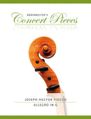 Allegro for Violin and Piano G major