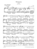 Winterreise op. 89 D 911 (Low Voice)