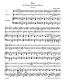 Trio for Violin, Horn (Viola or Violoncello) and Piano op. 40