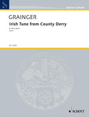 Irish Tune from Country Derry