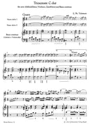 Triosonate für zwei Altblockföten (Violinen, Querflöten) und Basso continuo C-Dur (aus "Der getreue Musikmeister")
