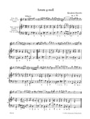 Sonatas, vol. 2