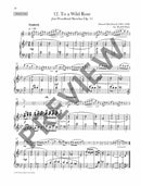 Romantic Clarinet Anthology, Vol. 2