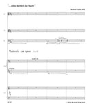 ...stiller Gefährt der Nacht