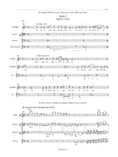 Zéphire RCT 61 (Score 布装丁）