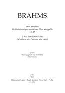 From Psalm no. 51 (Schaffe in mir, Gott, ein rein Herz) op. 29 no. 2