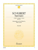 Impromptu op. 90 D 899: No. 1 C Minor