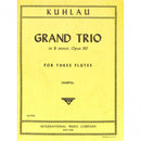 Grand Trio B minor op. 90