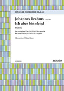 Ich aber bin elend op. 110,1