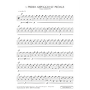 Studies and Exercises for Theorbo