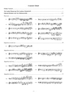 Complete works for keyboard instruments, vol. 5: Magnificat fugues from the London manuscript