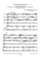 Uns ist ein Kind geboren, 「Opella nova II」より