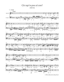 Kantaten für Solostimme und Basso continuo = Cantatas for solo voice and basso continuo