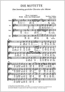 Ecce, concipies et paries filium