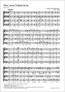 Herr, wenn Trübsal da ist, HoWV V.15 (E-flat minor)