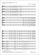 Was hast du, Mensch, HoWV V.28