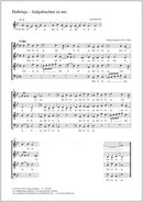 Halleluja – Aufgeleuchtet ist uns
