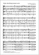 Siehe, dein König kommt zu dir