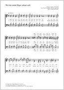 Wie der müde Pilger sehnet sich