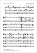 Wasser, Feuer, Erde, Luft