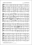 Angelus autem Domini