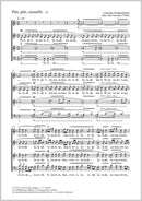 Puti, puti, ziemeliti