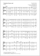 Tenebrae factae sunt, MH 162 (SAB)