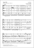 Agnus Dei, KV 115 (SAB)