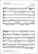 Urbs Jerusalem, MH 75