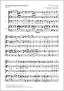 Mi lagnerò tacendo, KV 437