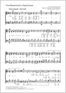 Vom Himmel hoch, o Engel kommt