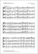 Tenebrae factae sunt